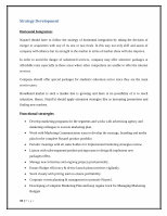 Page 43: Advance Strategic Marketing: project report of Nayatel.